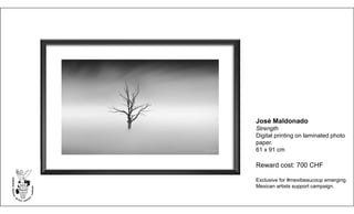 José Maldonado
Strength
Digital printing on laminated photo
paper.
61 x 91 cm
Reward cost: 700 CHF
Exclusive for #mexibeaucoup emerging
Mexican artists support campaign.
 