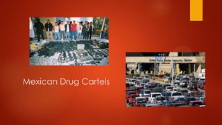 Mexican Drug Cartels

 