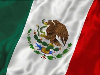 Mexican falg
