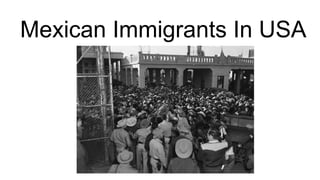 Mexican Immigrants In USA
 