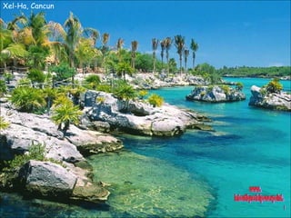Xel-Ha, Cancun www. laboutiquedelpowerpoint. com 