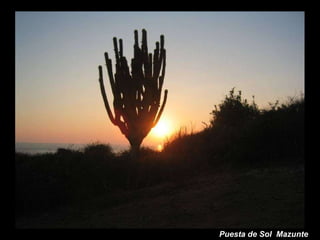 Puesta de Sol  Mazunte 