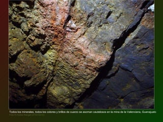 Todos los minerales, todos los colores y brillos de cuarzo se asoman cautelosos en la mina de la Valenciana, Guanajuato Foto © Carlos Rangel (27/01/2010) 