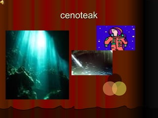 cenoteakcenoteak
 