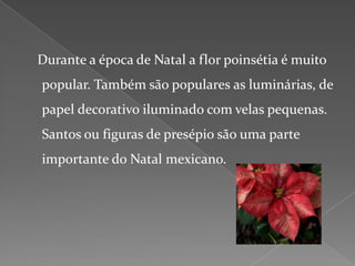    Durante a época de Natal a flor poinsétia é muito popular. Também são populares as luminárias, de papel decorativo iluminado com velas pequenas.Santos ou figuras de presépio são uma parte importante do Natal mexicano.