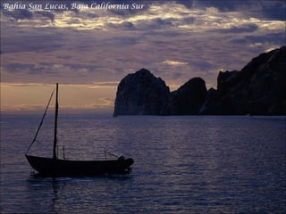 Bahia San Lucas, Baja California Sur
 