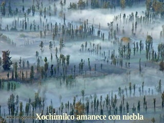 Xochimilco amanece con niebla 