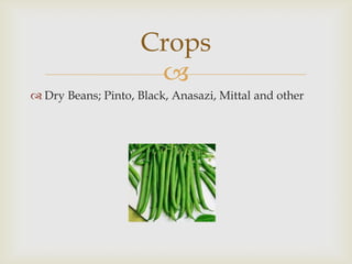 
 Dry Beans; Pinto, Black, Anasazi, Mittal and other
Crops
 