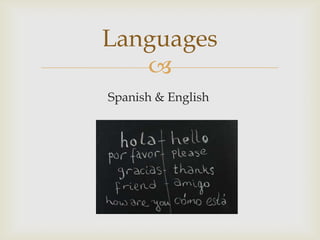 
Spanish & English
Languages
 