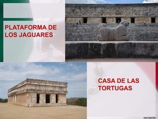 PLATAFORMA DE
LOS JAGUARES

CASA DE LAS
TORTUGAS

 