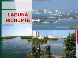 LAGUNA
NICHUPTE

 