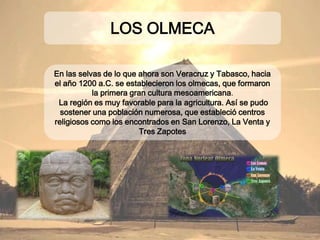 LOS OLMECA
En las selvas de lo que ahora son Veracruz y Tabasco,
hacia el año 1200 a.C. se establecieron los olmecas,
que formaron la primera gran cultura mesoamericana.
La región es muy favorable para la agricultura. Así
se pudo sostener una población numerosa, que
estableció centros religiosos como los encontrados en
San Lorenzo, La Venta y Tres Zapotes
 