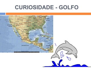 CURIOSIDADE - GOLFO 
 