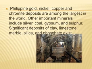  Philippine gold, nickel, copper and 
chromite deposits are among the largest in 
the world. Other important minerals 
include silver, coal, gypsum, and sulphur. 
Significant deposits of clay, limestone, 
marble, silica, and phosphate exist. 
 