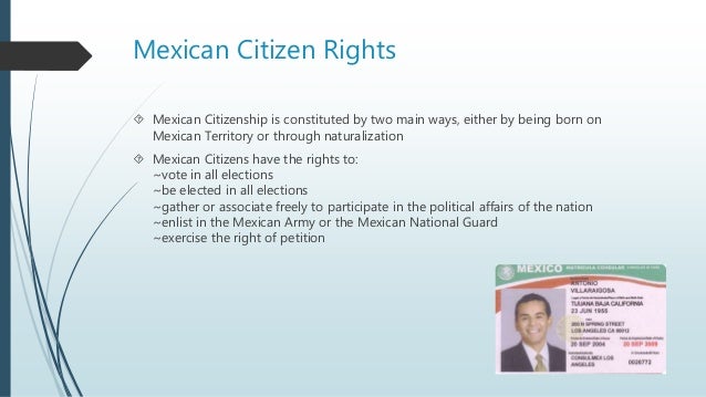 Mexican And Us Government Foundations