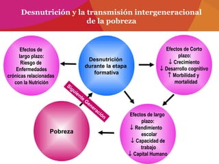 Desnutrición y la transmisión intergeneracional
de la pobreza
Desnutrición
durante la etapa
formativa
Efectos de
largo plazo:
Riesgo de
Enfermedades
crónicas relacionadas
con la Nutrición
Efectos de Corto
plazo:
↓ Crecimiento
↓ Desarrollo cognitivo
↑ Morbilidad y
mortalidad
Pobreza
Efectos de largo
plazo:
↓ Rendimiento
escolar
↓ Capacidad de
trabajo
↓ Capital Humano
Siguiente
G
eneración
 