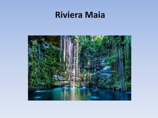 Riviera Maia