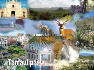 así como unos labios por la piel, Tamaulipas 