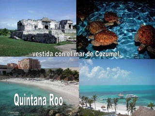 vestida con el mar de Cozumel, Quintana Roo 