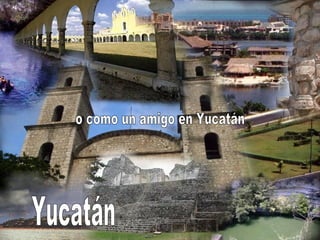 o como un amigo en Yucatán Yucatán 