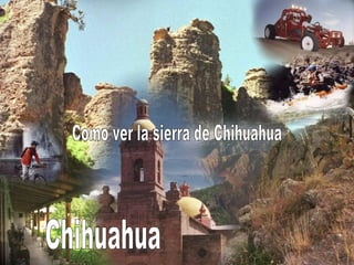 Como ver la sierra de Chihuahua Chihuahua 