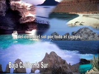 Baja California Sur del color del sol por todo el cuerpo, 