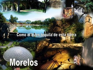 Como el buen tequila de esta tierra Morelos 