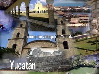 o como un amigo en Yucatán Yucatán 