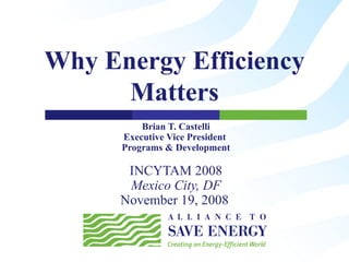 Why Energy Efficiency Matters Brian T. Castelli Executive Vice President  Programs & Development INCYTAM 2008 Mexico City, DF November 19, 2008   