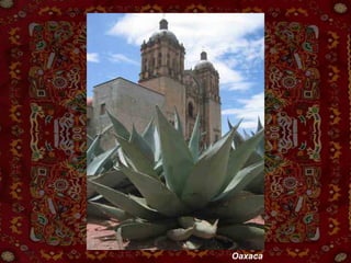 Oaxaca 