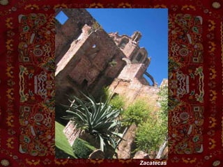Zacatecas 