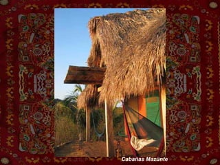 Cabañas Mazunte 