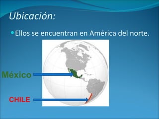 Ubicación:  Ellos se encuentran en América del norte. México CHILE 