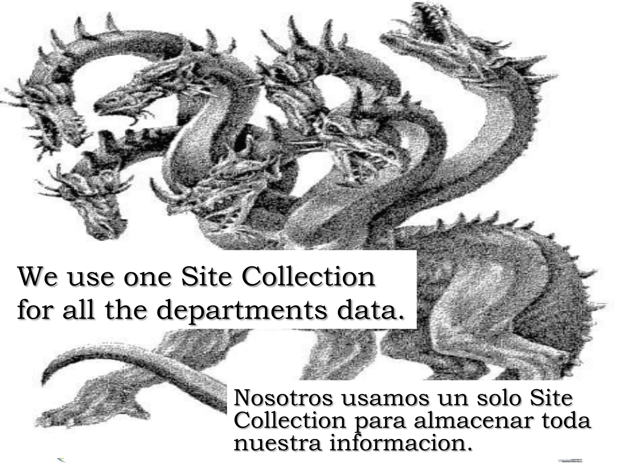 We use one Site Collectionfor all the departments data.Nosotrosusamos un solo Site Collection paraalmacenartodanuestrainformacion.