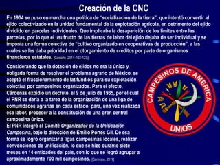 En 1934 se puso en marcha una política de “socialización de la tierra”, que intentó convertir al
ejido colectivizado en la unidad fundamental de la explotación agrícola, en detrimento del ejido
dividido en parcelas individuales. Que implicaba la desaparición de los límites entre las
parcelas, por lo que el usufructo de las tierras de labor del ejido dejaba de ser individual y se
imponía una forma colectiva de “cultivo organizado en cooperativas de producción”, a las
cuales se les daba prioridad en el otorgamiento de créditos por parte de organismos
financieros estatales. [Castaño (2014: 122-123)]
Considerando que la dotación de ejidos no era la única y
obligada forma de resolver el problema agrario de México, se
aceptó el fraccionamiento de latifundios para su explotación
colectiva por campesinos organizados. Para el efecto,
Cárdenas expidió un decreto, el 9 de julio de 1935, por el cual
el PNR se daría a la tarea de la organización de una liga de
comunidades agrarias en cada estado, para, una vez realizada
esa labor, proceder a la constitución de una gran central
campesina única.
El PNR integró el Comité Organizador de la Unificación
Campesina, bajo la dirección de Emilio Portes Gil. De esa
forma se logró organizar a ligas campesinas locales, realizar
convenciones de unificación, lo que se hizo durante siete
meses en 14 entidades del país, con lo que se logró agrupar a
aproximadamente 700 mil campesinos. [Carmona, 2019]
Creación de la CNC
 