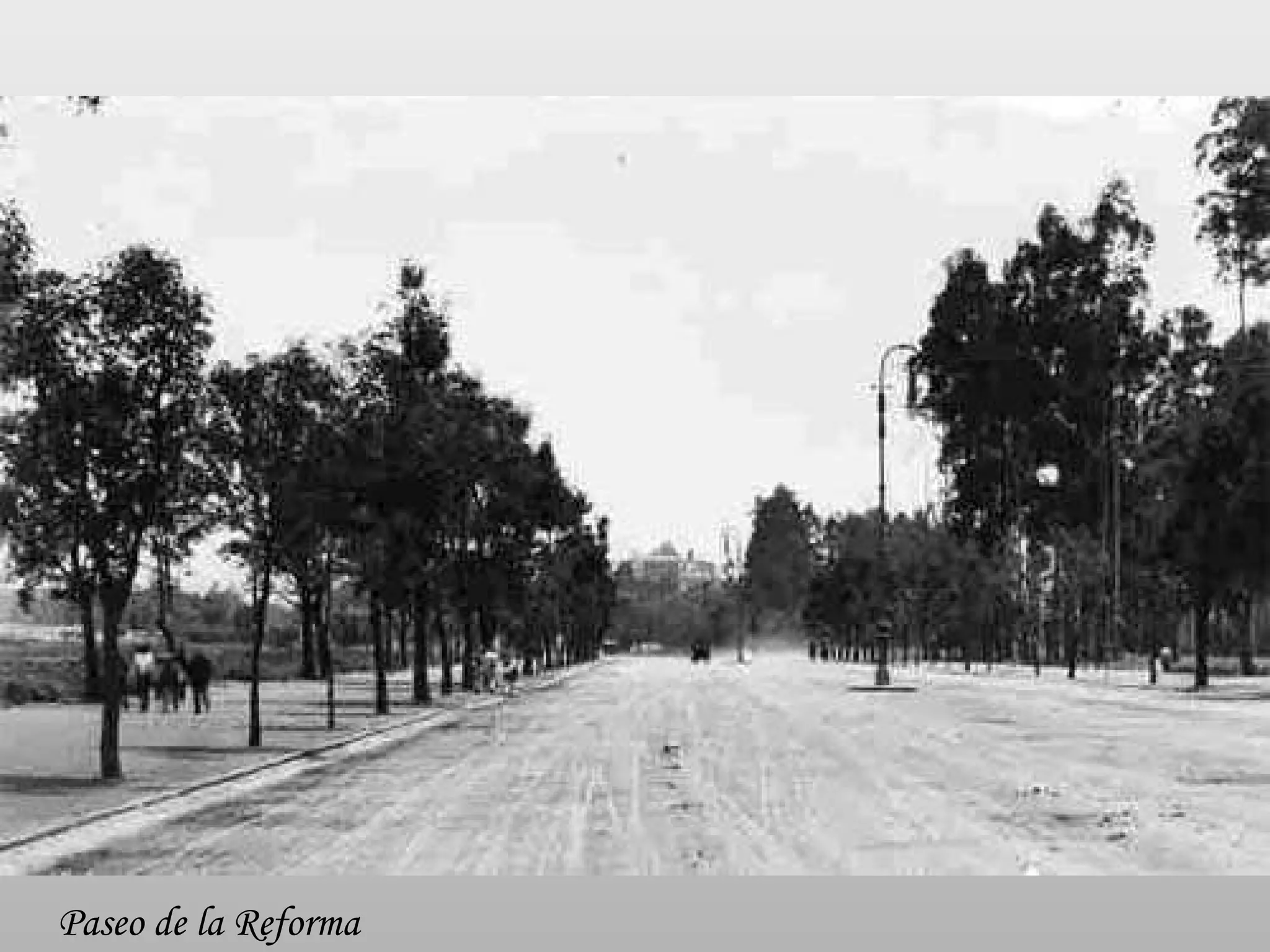 Paseo de la Reforma