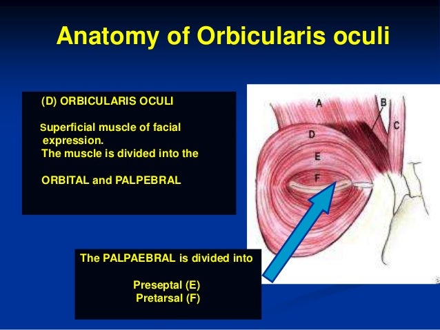 Using Botox for Periorbital Rejuvenation