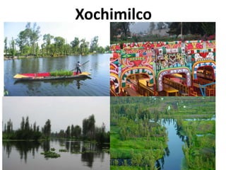 Xochimilco

 