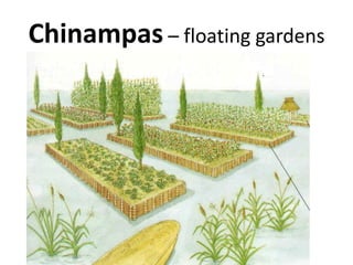 Chinampas – floating gardens

 