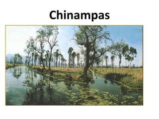 Chinampas

 