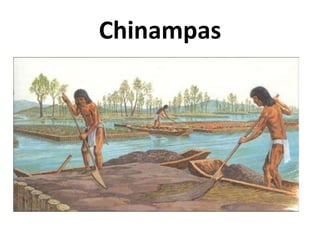 Chinampas

 