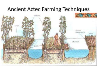 Ancient Aztec Farming Techniques

 