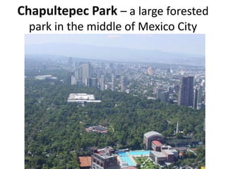 Chapultepec Park – a large forested
park in the middle of Mexico City

 