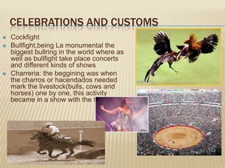 CELEBRATIONS AND CUSTOMS
   Cockfight
   Bullfight,being La monumental the
    biggest bullring in the world where as
    well as bullfight take place concerts
    and different kinds of shows
   Charreria: the beggining was when
    the charros or hacendados needed
    mark the livestock(bulls, cows and
    horses) one by one, this activity
    became in a show with the time.
 