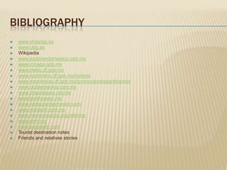 BIBLIOGRAPHY
   www.chilango.es
   www.Udg.es
   Wikipedia
   www.explorandomexico.com.mx
   www.conapo.gob.mx
   www.metro.df.gob.mx
   www.xochimilco.df.gob.mx/turismo
   www.mcontreras.df.gob.mx/turismo/ecologia/dinamos
   www.ciudadmexico.com.mx
   www.chapultepec.org.mx
   www.teotihuacan.mx
   www.restaurantesmexico.com
   www.mariachi.com.mx
   www.mexicomaxico.org/reforma
   www.mrm.mx
   www.exposwtc.com
   Tourist destination notes
   Friends and relatives stories
 