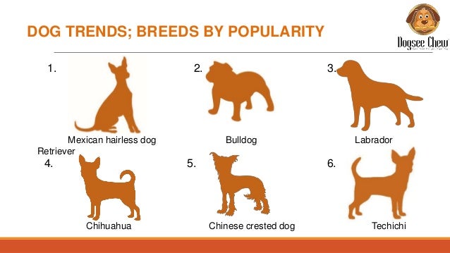 High Quality Human Grade Dog Food High Quality Human Grade Dog Food