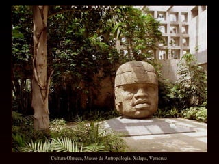 Cultura Olmeca, Museo de Antropología, Xalapa, Veracruz  