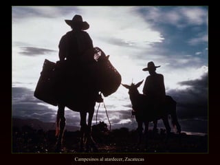 Campesinos al atardecer, Zacatecas  