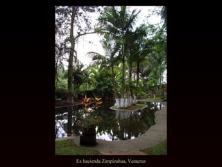 Ex hacienda Zimpizahua, Veracruz 