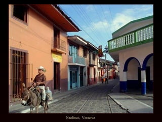 Naolinco, Veracruz
 